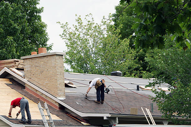 Best Roof Gutter Cleaning  in Tn Lakes, WI