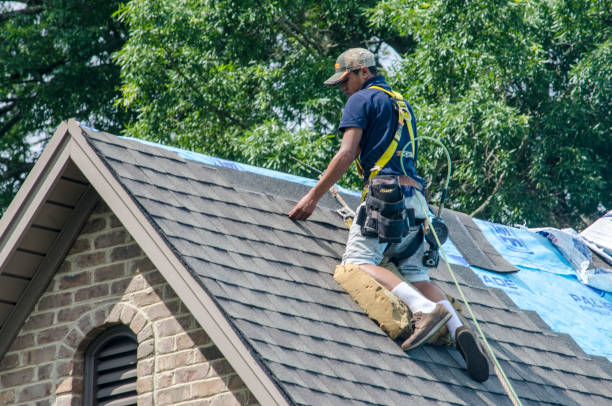 Best New Roof Installation  in Tn Lakes, WI